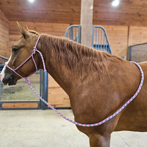 Pink and Blue Braided Rope - Picture 5 of 6
